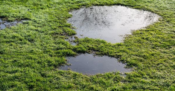 Standing water on land to symbolize an underground leak